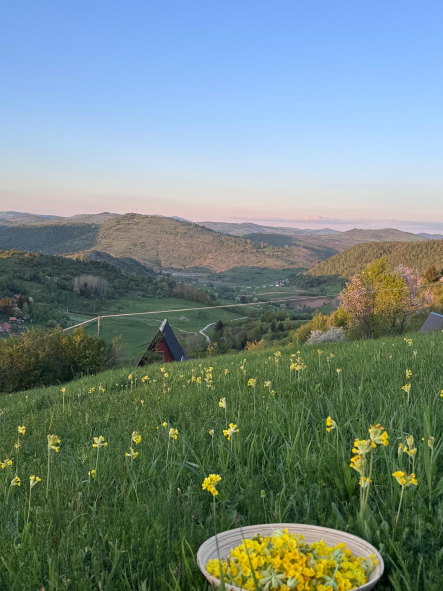 Villa Uvacki Raj Radijevici Esterno foto