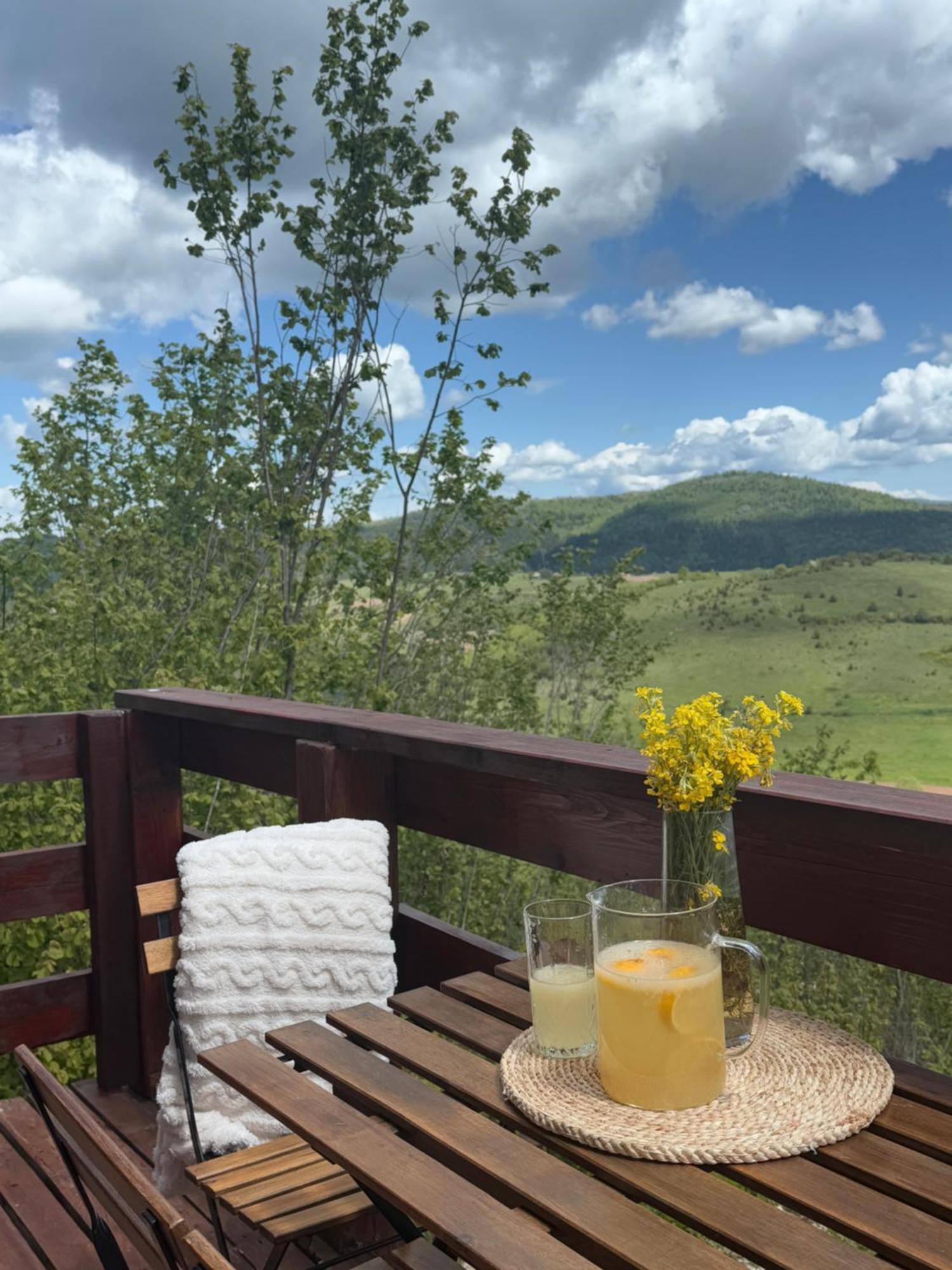 Villa Uvacki Raj Radijevici Esterno foto